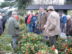 The Auction taking place