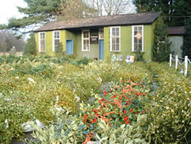 Yard and Cafe at the auction