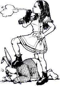 Not for fluffy bunnies