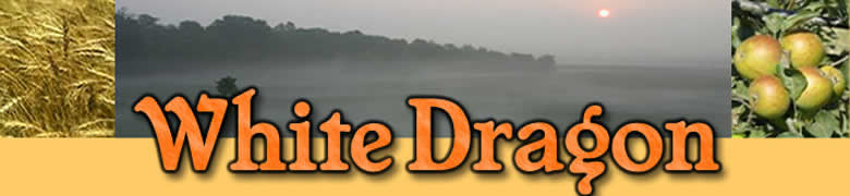 White Dragon header
