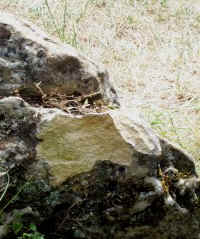 Damage to Rollright Stone