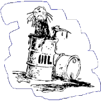 Polluted seal in oil