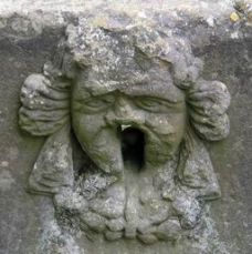 Sotham Holy Well Spout